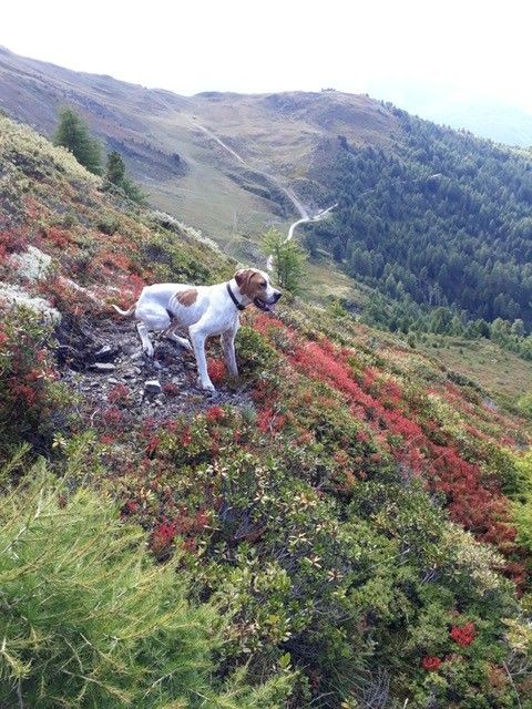 De ker avel - Nino de Ker Avel à la Montagne