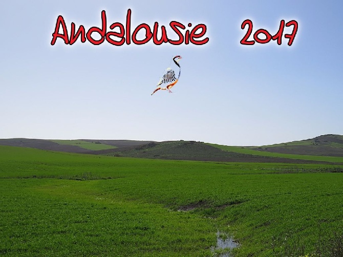 De ker avel - Andalousie 2017